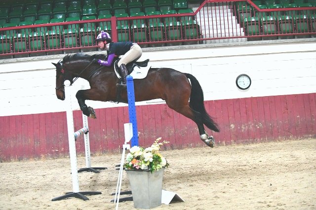 GEWeventing's tweet photo. So much fun Arena Eventing yesterday. Lily was on fire for the win and Joey did his best speedy pony impression for 3rd #flyingponies #onform https://t.co/NqGvYEhqzM