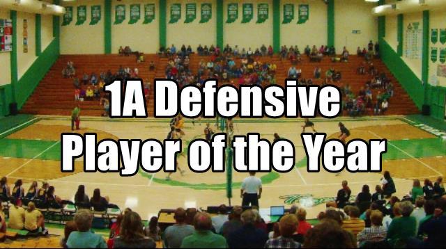 Delaware County Volleyball 1A Defensive Player of the Year: Hannah Johnson, Cowan