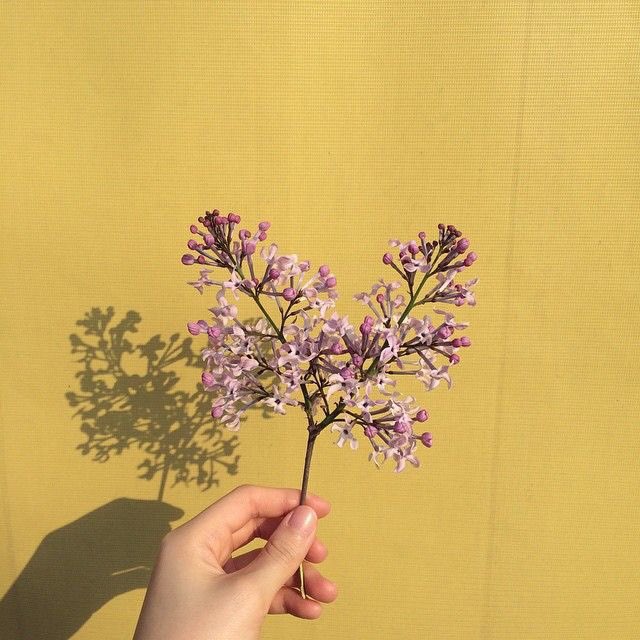 madaisyy__'s tweet photo. . .  o n l i n e . .

🌼🌻🌼🌻🌼🌻

คิ ด ถึ ง คุ ณ น ะ https://t.co/Zslt3l8uHj