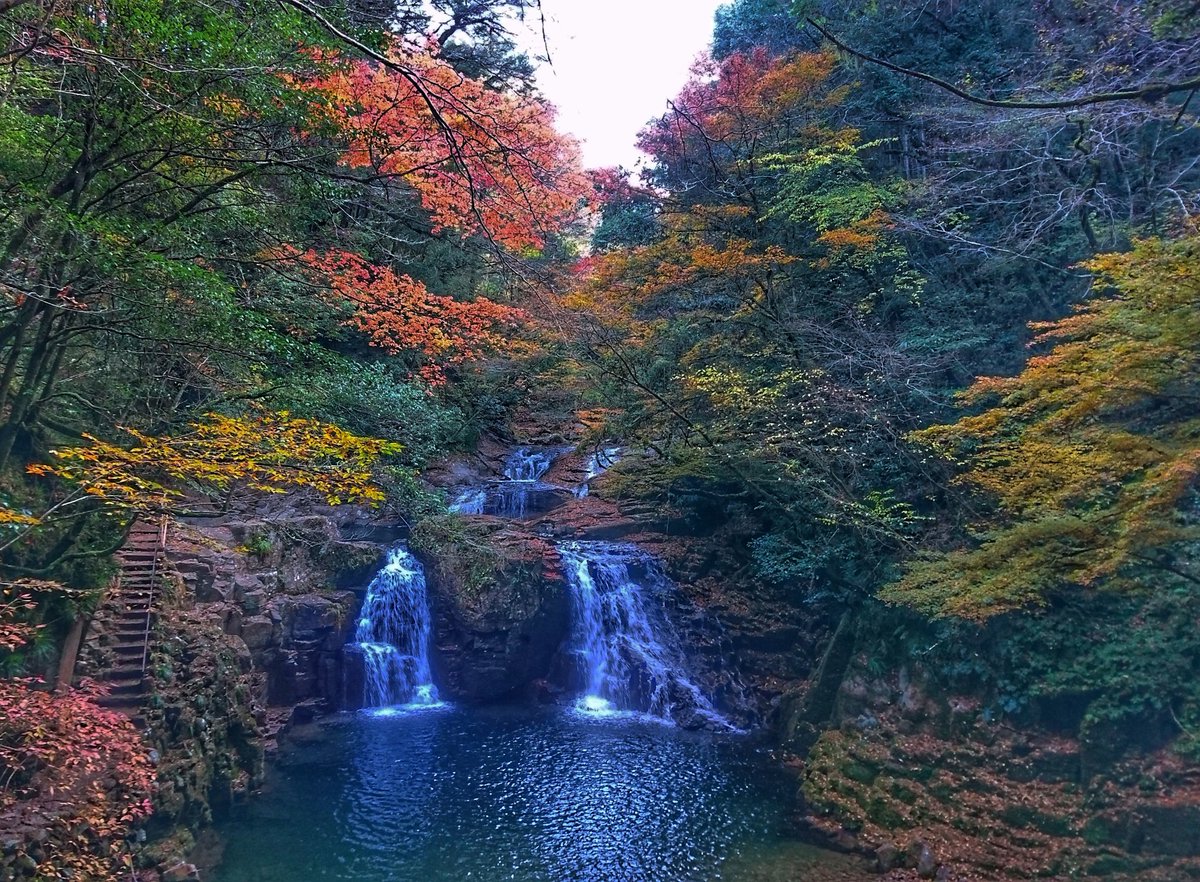 京都の苔女 Auf Twitter 赤目四十八滝 17 あるいた けど 大自然でマイナスイオンに包まれ リフレッシュできました 紅葉も綺麗だったし 赤目四十八滝 赤目 三重県 紅葉 もみじ 紅葉狩り 滝 荷担滝 苔女 京都 山 登山 登山女子 苔盆栽 苔の