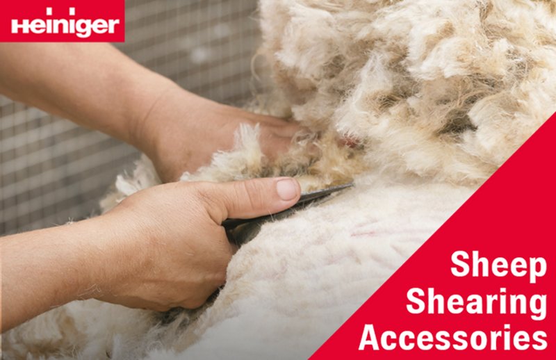 From Emery Papers to Grinder Discs and Clipper Oil, we have the mothersheep of all shearing accessories right here: