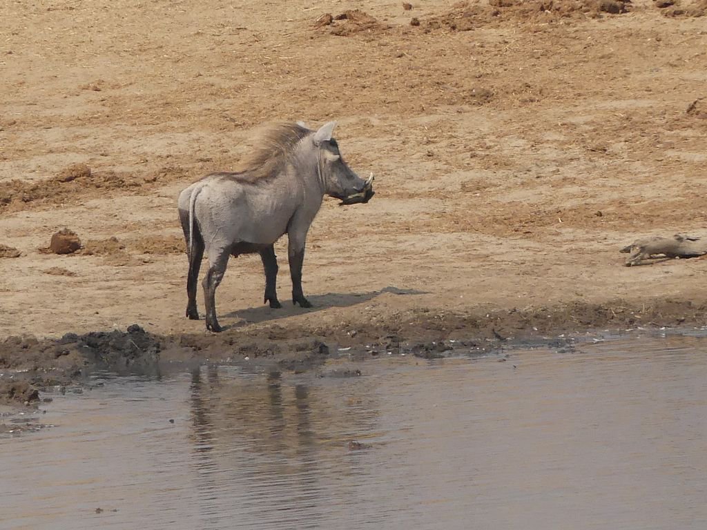 Elizabeth Willoughby tweet media