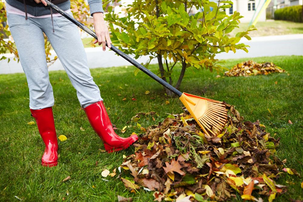 rdoran8's tweet photo. Do You Really Need to Rake? https://t.co/IP9NMlcFrf https://t.co/hOiWlDuDMZ