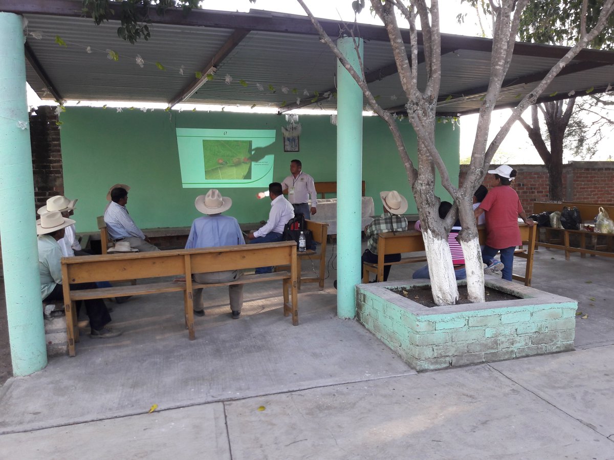 MarisolArregui2's tweet photo. Capacitación: control de enfermedades y plagas del frìjol, segundo cultivo, productores Las Canoas @DesdeGto  @Bettyvaz2 https://t.co/EGiniALmjj