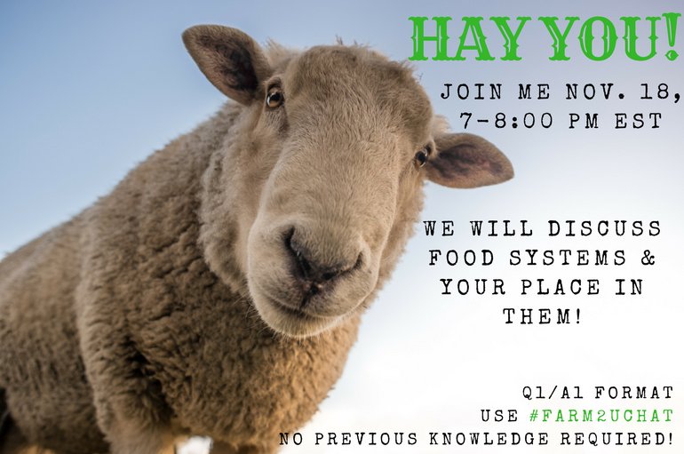 Merril58's tweet photo. Hay ewe, listen up. #AgPunGameStrong https://t.co/uMUqhktekC