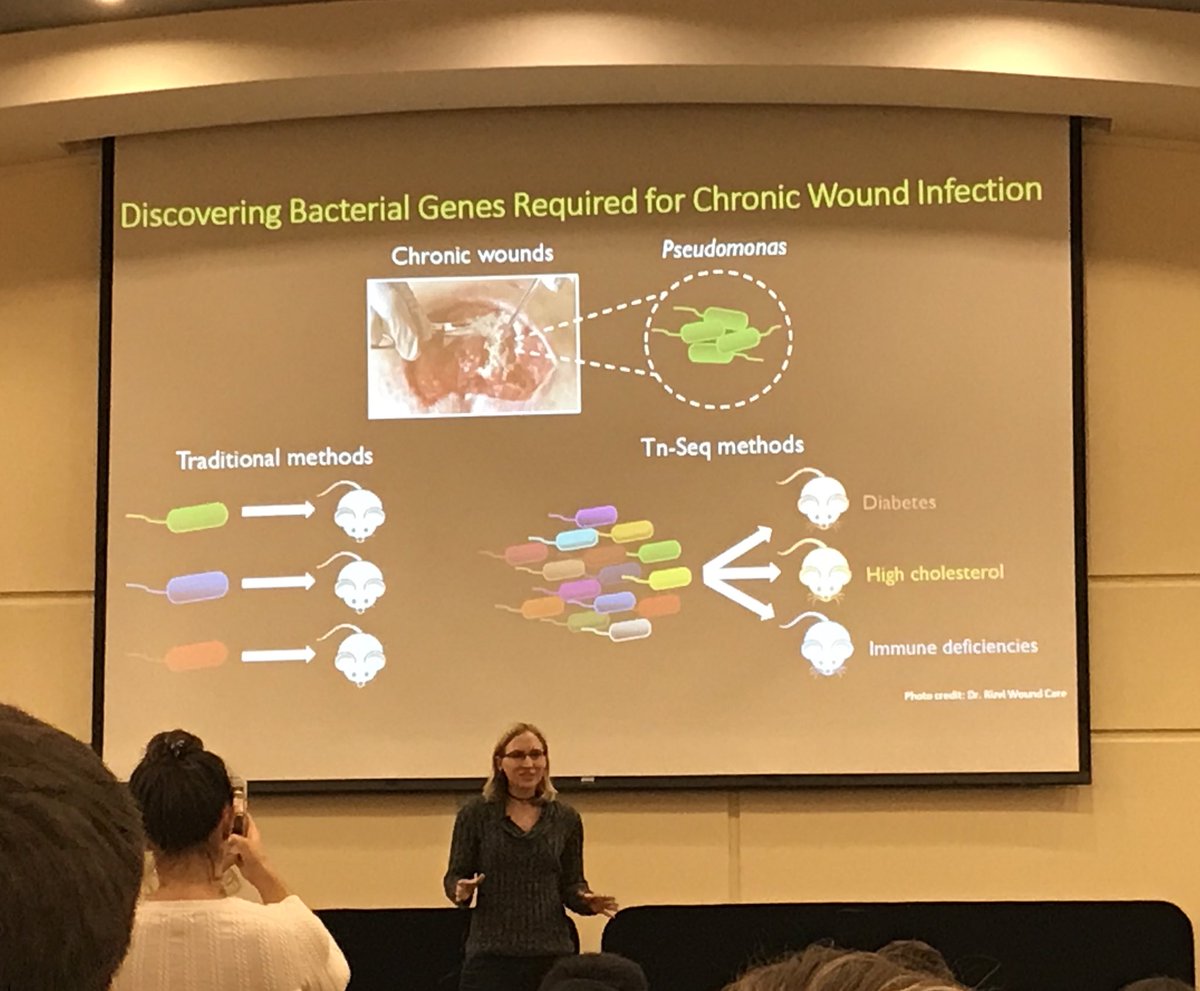 DarchLab's tweet photo. @GT_Sciences @whiteleylab Our @whiteleylab PhD student Kelly Michie presenting her “3 minute thesis” @GT_Sciences 😁 #scienceoutreach #scienceforthemasses #gottascreenemall https://t.co/N26BwZIxTY