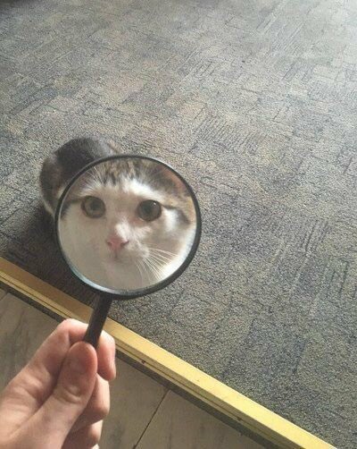 Mno420's tweet photo. when you first meet me VS once you actually get to know me https://t.co/U2taV8BdEh