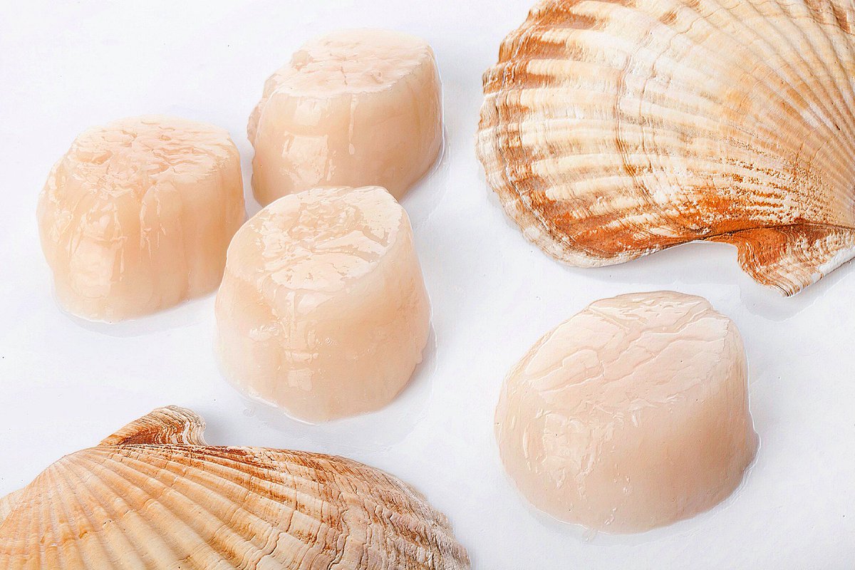 Biomore_'s tweet photo. 🐟🐠Biomore.ru 🐟🐠
🚙 Доставка свежей рыбы и морепродуктов по Москве и МО. Морской гребешок – изысканный деликатес, особенностью которого является то, что он исключительно вкусен в любом виде, не зависимо от того, каким образом он был приготовлен. https://t.co/kGNeArpst3