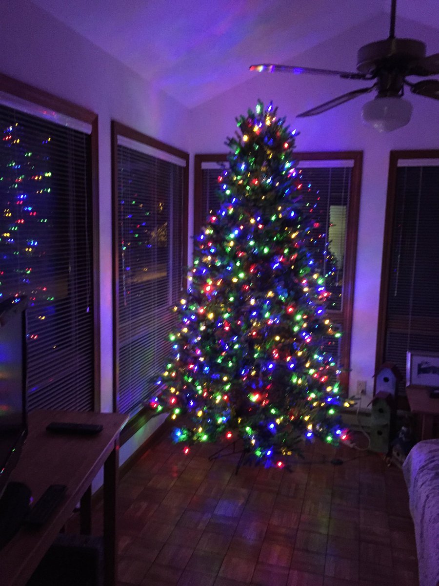 REMaggard's tweet photo. November 13, are you kidding me?! Yes, I did it, what we need is a little Christmas, just a little Christmas #welcomechristmas https://t.co/ZjynYUMvI0