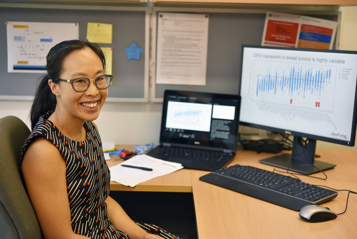 Stem Cell Foundation tweet media