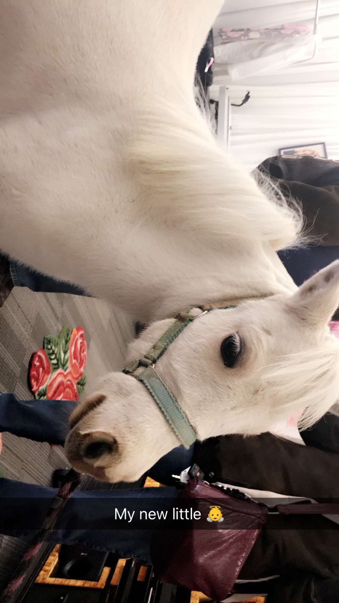 gagaxsnaps's tweet photo. https://t.co/xMw2VYZqbL