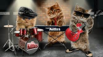 jwmystical's tweet photo. Us Kool  #Jazz #Cats are just jam'in for  ur purrfect listening pleasure  on this #MusicMonday so just #Chill   #CutePets #Kittens #Musical #CuteAnimals #jonispethangout.com https://t.co/1kYECpkj8Y