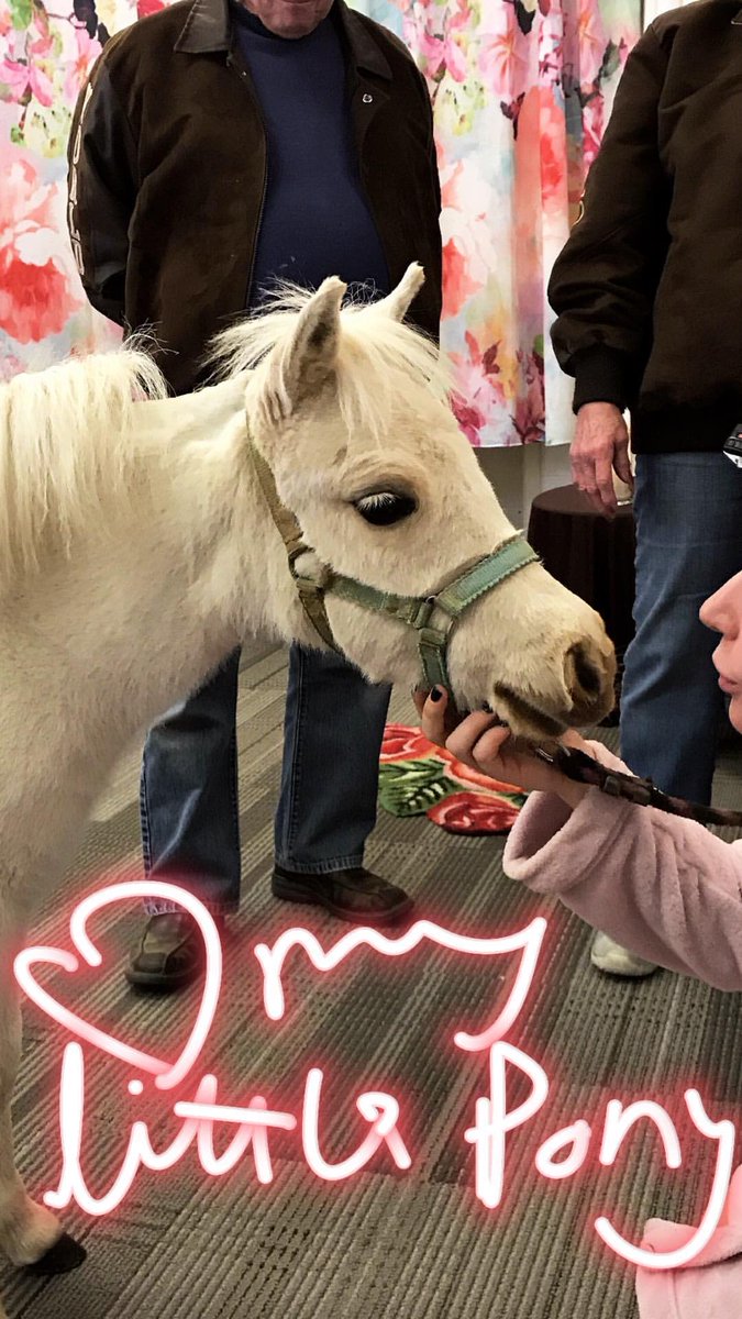 gagaxsnaps's tweet photo. 💗 My little pony 💗 https://t.co/zD4acVay3S