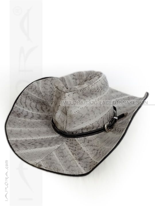 Implora Snakeskin tweet media