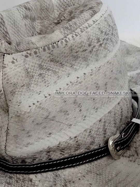 Implora Snakeskin tweet media