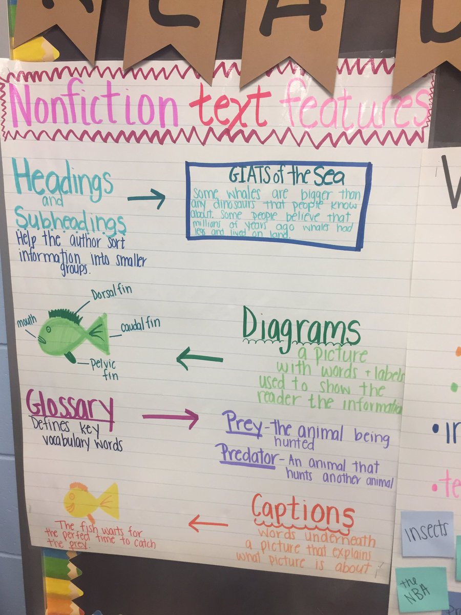 Nonfiction in full swing! ✏️📚