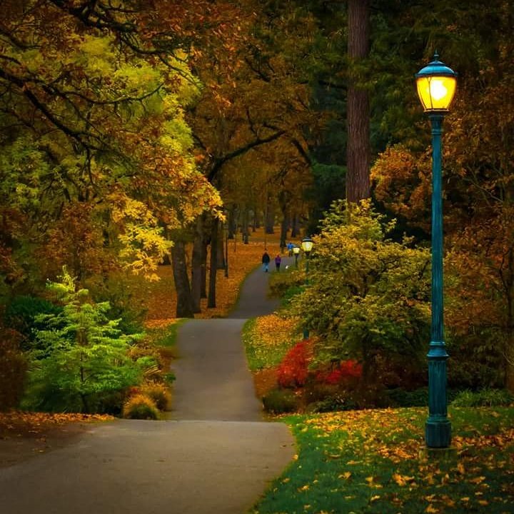 tvjammedia's tweet photo. Amo vivir en esta ciudad Portland Oregon #PortlandOregon #photography #fotografia #fotos #photos #SIGUEMEYTESIGO #SiguemeYTeSigoAlInstante #SiguemeYTeSigoDeVuelta #FolloForFolloBack #LunesDeGanarSeguidores https://t.co/VzHhqJndh1