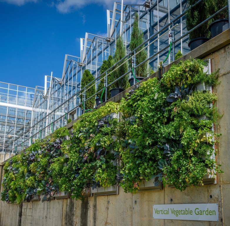 LandscapeComm's tweet image. In an effort to promote gardening in urban areas, the Phipps Conservatory in Pittsburgh integrated a vertical garden with LiveWall.

landscapeonline.com/research/artic…