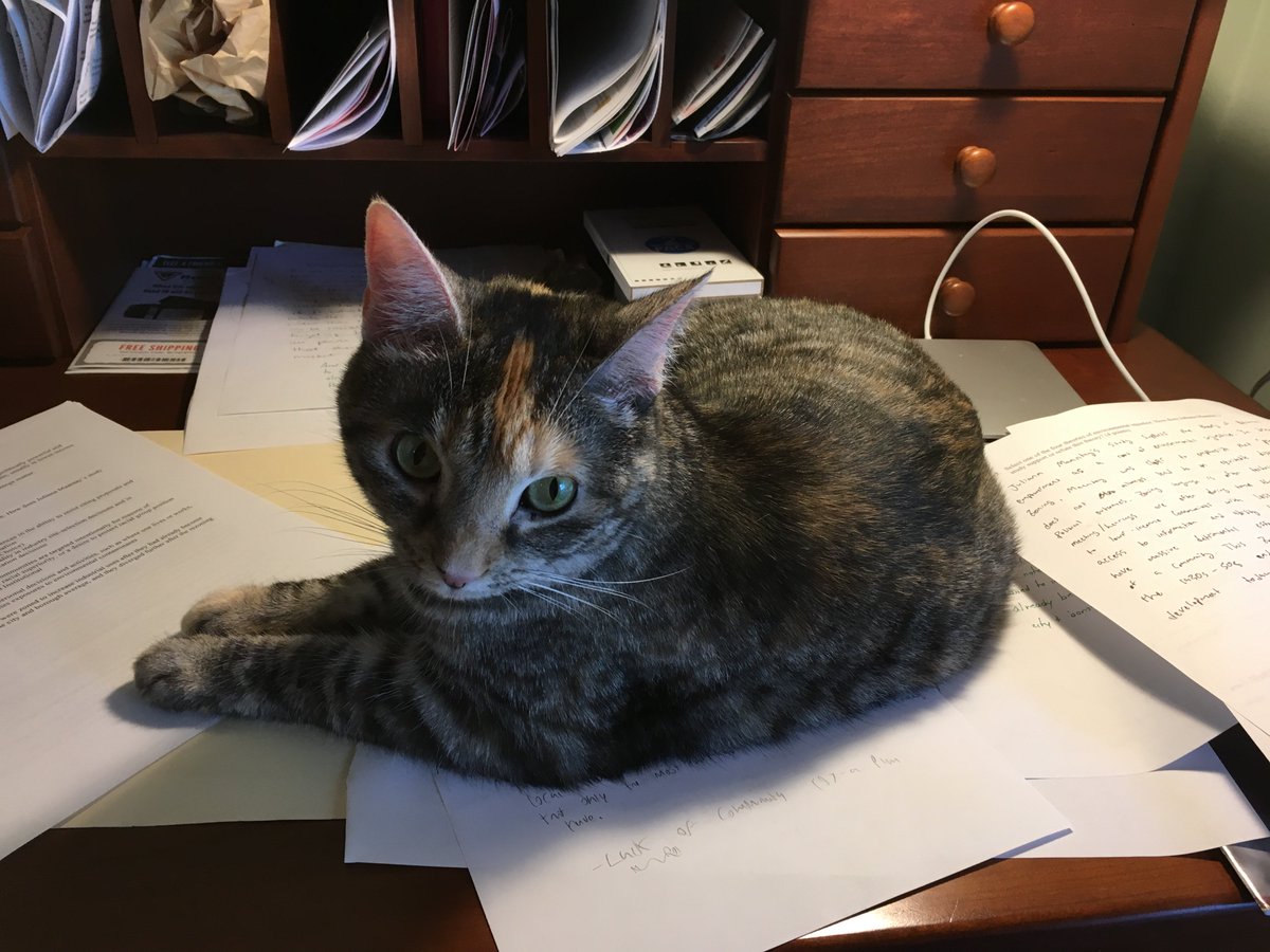 CentreEJ's tweet photo. Bridget loves to help me grade! #ENS310 #gradingquizzes https://t.co/3Rw2FA3l1S