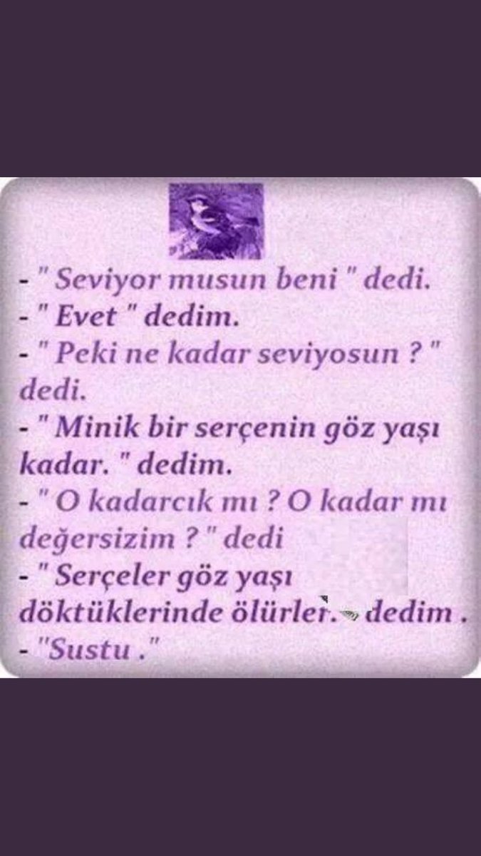Mangal044's tweet photo. Serçeler gözyaşı doktuklerinde ölürler. https://t.co/CGjByPaLGW