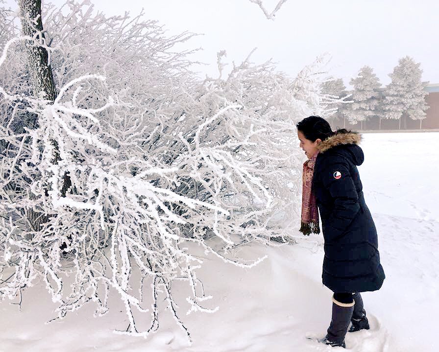 mymelodz's tweet photo. Good night everyone!

Ingat kayong lahat! 

#prettywinter #WinterWonderLand 
#canada #frost #iloveit 😍 https://t.co/dujrtkCIKN