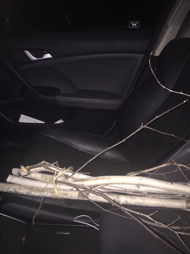 ashley_e_mack's tweet photo. @MrFlexon @180Brags @lbgerkens @loomislearner @pvslibmedia @annalisa_rodano #smallcarproblems I hope there isn't a brown recluse nesting in my car now! 🕷 😬 https://t.co/YJHIZqdaCU