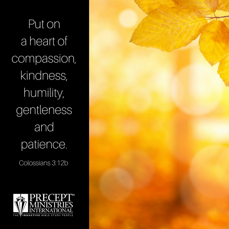 KayArthur's tweet photo. "Put on a heart of compassion, kindness, humility, gentleness and patience; bearing with one another, and forgiving each other, whoever has a complaint against anyone; just as the Lord forgave you, so also should you" Colossians 3:12b-13 https://t.co/9UaAve0E22 #WorldKindnessDay https://t.co/EF5e2zxJX4