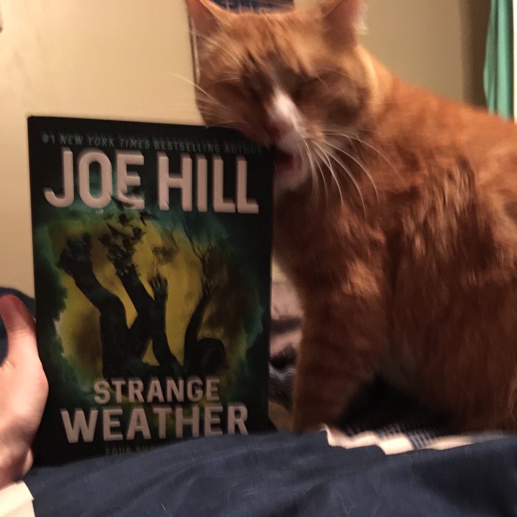 PatLacey's tweet photo. #amreading #ambiting https://t.co/gfhv4tgCRd