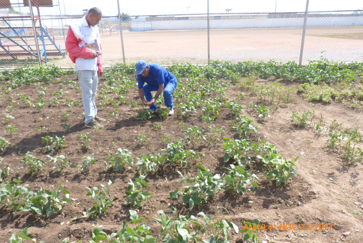 CPRCO  SGTO/1 DAVID VILORIA
MISION SIEMBRA