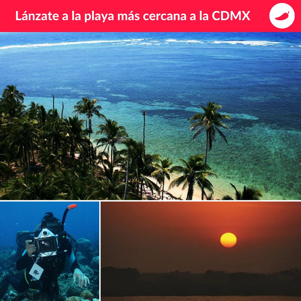 ChilangoCom's tweet photo. ¿Ya tienen plan para este fin? Escápense a Tuxpan, la playa más cercana a la CDMX, aquí les va el plan completito para aprovechar los tres días.  😎🌴🌊https://t.co/lOofgWNFl1 https://t.co/AgFh6lM2DG