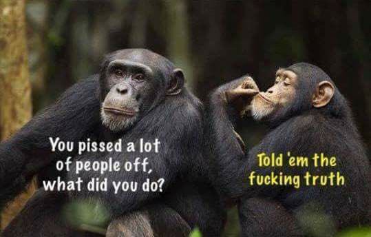 Turd Flinging Monkey (@TFMonkeyYouTube) | Twitter