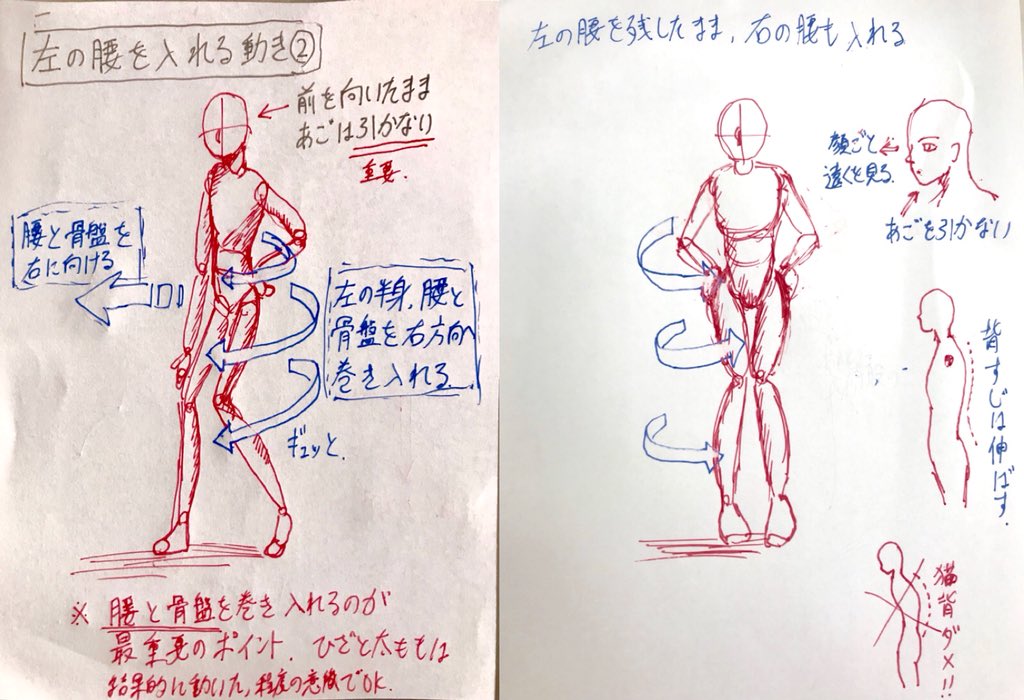 Twin בטוויטר 左腰を入れ それを入れっぱなしで残したまま右腰も入れる 両方の腰を入る の手順 イメージ図です そしてこの体勢になると 自然にお尻の割れ目が広がり 結果的に尻の幅か広くなります これが Twin式尻割メソッド の名前の由来なのです 腰入尻