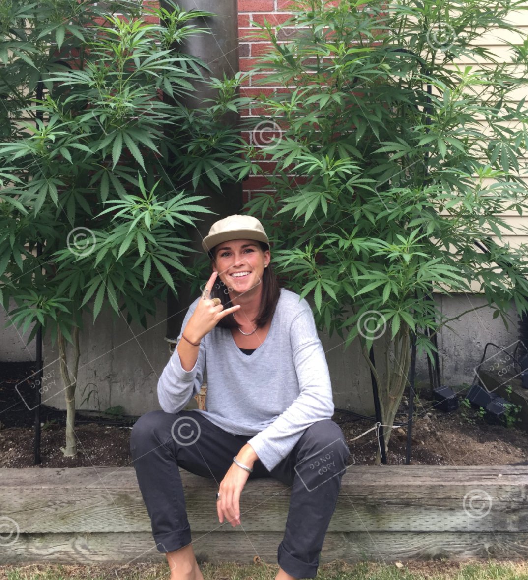 shutterbudmedia's tweet photo. Sometimes, a picture's worth a million words- #ShutterBud #ShutterBudMedia #Cannabis #CannabisStockPhotos #CannabisImages #CannabisPictures https://t.co/sDE0PyiRen