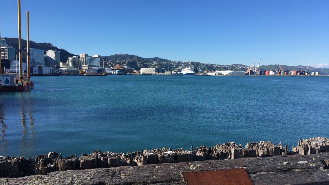 VRobin93's tweet image. Wellington putting in a stunner of an evening! Looking forward to @FedFarmers course starting tomorrow!