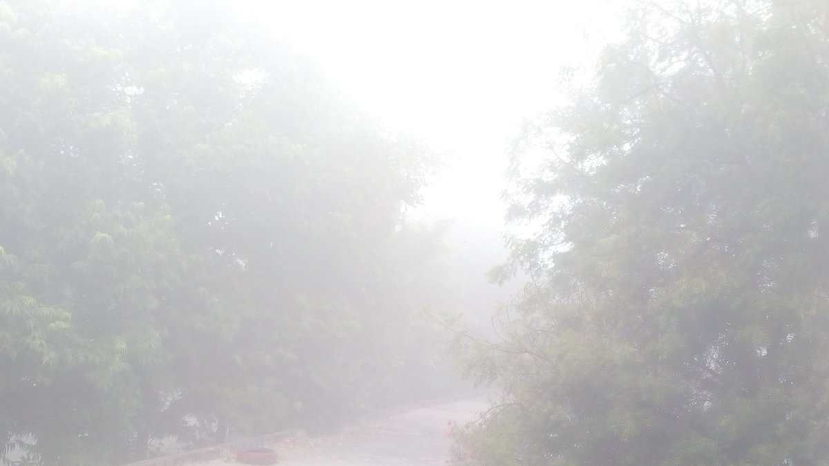 AmolPophali's tweet image. Mornings in winter are like dis... #riseinfog #dropintemperature