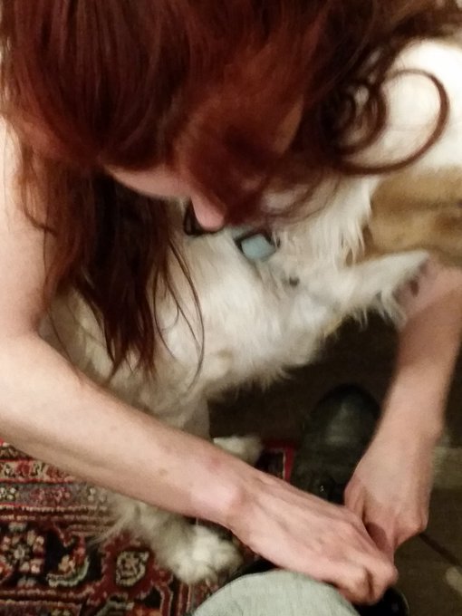 My Porn Sis @Melissa_Hillxxx &amp; her pup Freckles tying my shoes for me. W/my back injury it's hard to<a class="tags" target="_blank" title="On Twitter" href="/?out=eyJ0eXAiOiJKV1QiLCJhbGciOiJIUzUxMiJ9.eyJpYXQiOjE3MjA4MjE2MjksImlzcyI6InR3cG9ybnN0YXJzLmNvbSIsIm5iZiI6MTcyMDgyMTYyOSwiZXhwIjoxNzUyMzU3NjI5LCJyZWRpcmVjdF91cmwiOiJodHRwczovL3R3aXR0ZXIuY29tL01lbGlzc2FfSGlsbHh4eCJ9.FsyiHxPtMIU8NCUs2JVZtJEDt61gxR-C402t3PzlqcThV5Ubgl0irXmvk7HtF_lzrq3Dj2ImYpdBJt0iy670fQ">@Melissa_Hillxxx</a><a href="/tag/sheloveme"class="tags"><span>#sheloveme</span></a>