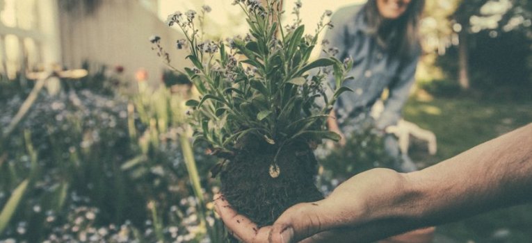 Paysalia's tweet photo. A lire sur #BlogPaysalia : #observatoire participatif des #collectivités pour promouvoir la #biodiversité https://t.co/kFzqDPe4vC https://t.co/03xaD7eoqc