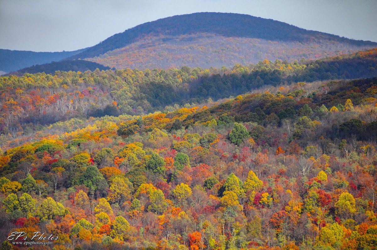 EPsPhotos's tweet photo. Shenandoah National Park - 2017
#ShenandoahNationalPark #skylinedrive #Virginia #scenic #mountains https://t.co/EKIVitHPFy