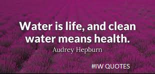 impactwater256's tweet photo. QUOTE OF THE DAY: Water is life, and clean water means health - Audrey Hepburn.
#IWQuotes #Drinkwithconfidence https://t.co/TFRGrnIDiO