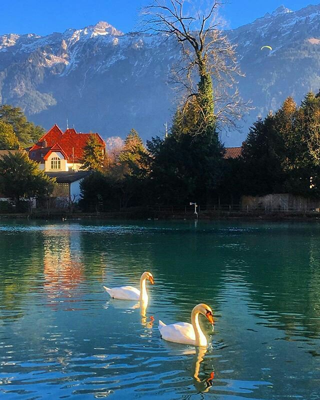 Good morning :-)) 
Twitterworld ✨💛✨