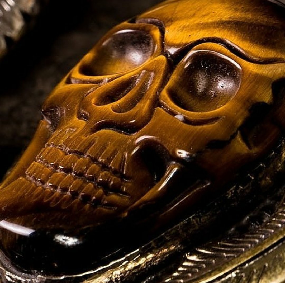 calaveroshop's tweet photo. https://t.co/dMZHxv0LAw