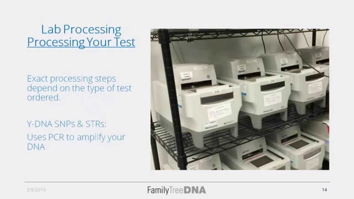 louiskessler's tweet photo. FTDNA’s 13th IGG Conference Lab Tour: #FTDNA2017 – What a great conference! So many people I could talk to at a technical level and so many that I learned from. I averaged less than 5 hours of sleep per night just because the day was so full, every… https://t.co/shPm6fcbLJ https://t.co/9ZU3cnHozQ