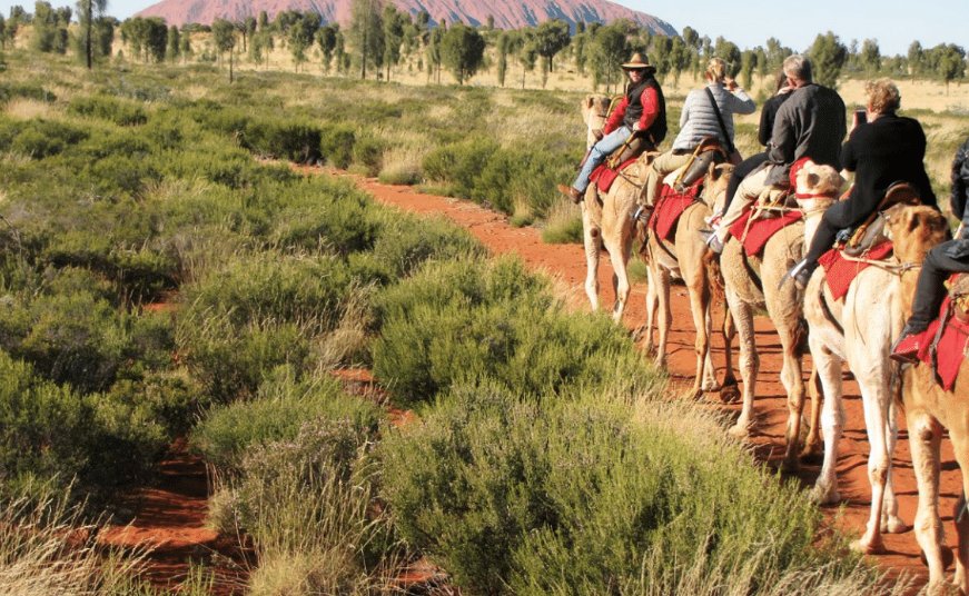 intrepidexpl_za's tweet photo. How(e) to mount a Camel: Graham Howe teaches us what we have all always wanted to know – how to mount a camel, out in the great Outback. https://t.co/nzqmKSBQ54