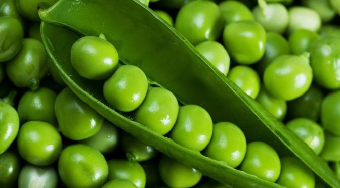 Kacang polong membantu meningkatkan masa otot, menurunkan kolesterol, melindungi kesehatan mata, meregenarasi kerusakan sel tubuh, menurunkan gula darah, tubuh, dapat mencegah osteoporosis, pengganti daging untuk para vegetarian, anti konstipasi
sjinternasional.com