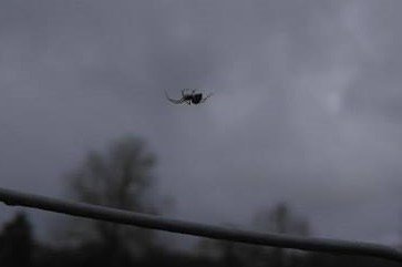 Katy Ivison tweet media