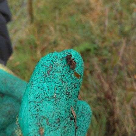 Katy Ivison tweet media