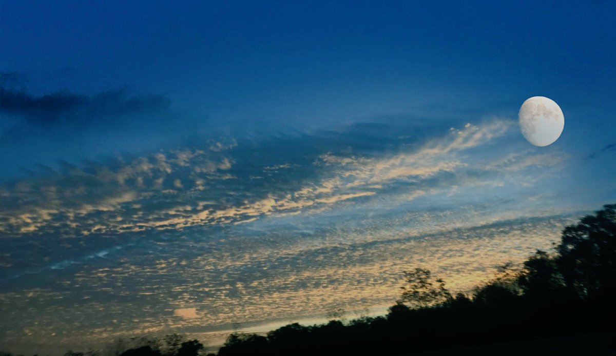 MaryCKite1's tweet photo. Sometimes I can get a good shot!  #goodmorning #earlymornjng #moon #clouds #itakepics #earlymornjngbeauty #cloudsandmoon #nature #godscanvas https://t.co/2PspKBAle4