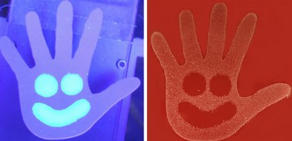 Looking for scientifically proven content? Read our blog post on #evidencebased #handhygiene bit.ly/2jq4QtQ