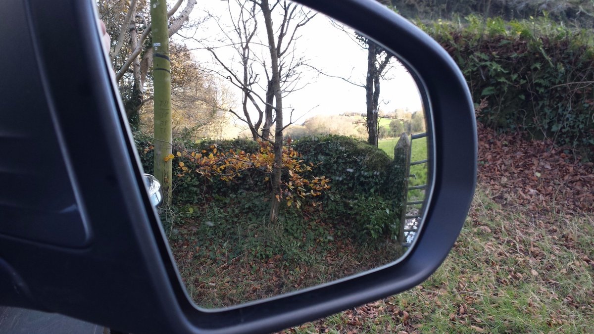 StephenDCMotors's tweet photo. Hows does Autumn look from the inside of a Mercedes-Benz? Happy  Autumn  @MercedesBenz @MBSW #4MATIC #stunning #wheelsthatthink https://t.co/bmxhzUttl9