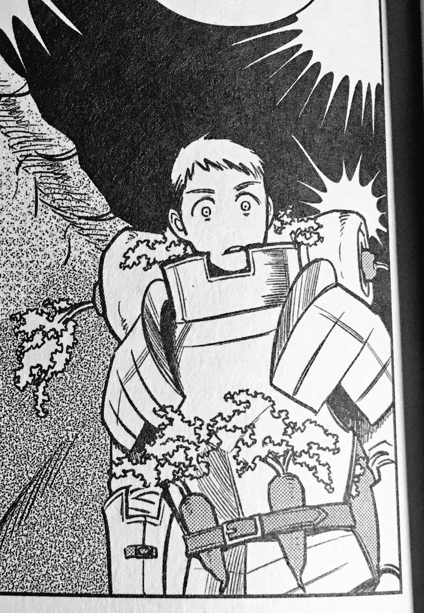 bought dungeon meshi 2 and got to revisit one of my fave Looks 